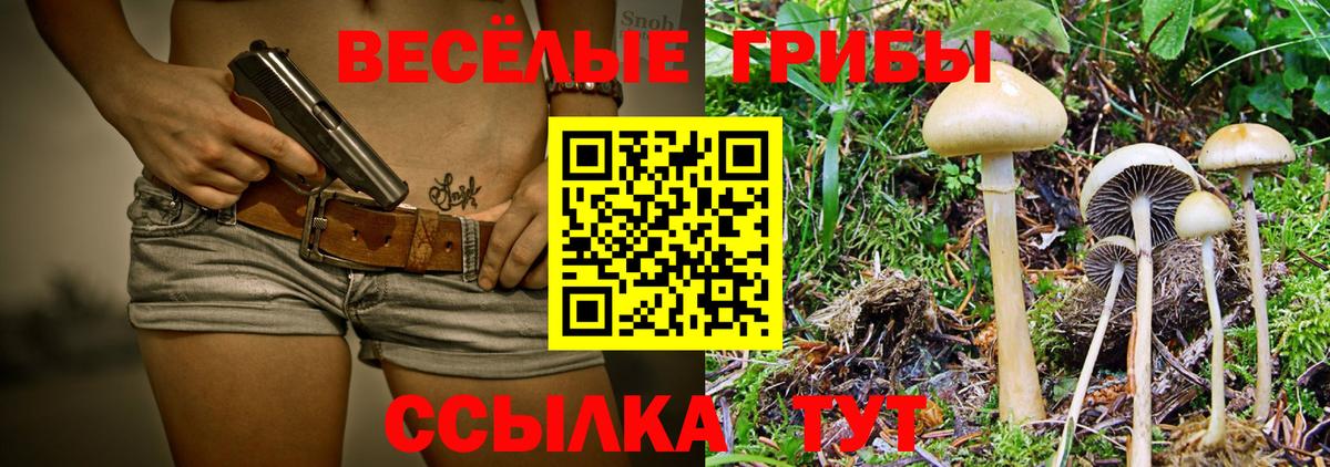 Галлюциногенные грибы Psilocybe Жуковский