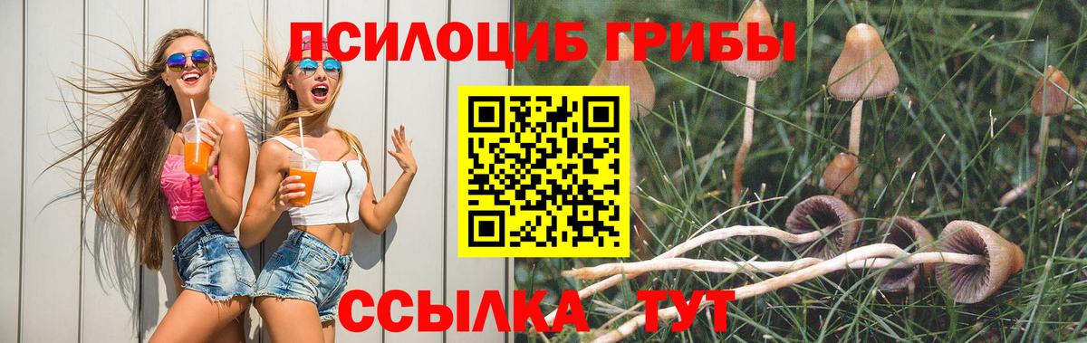 Псилоцибиновые грибы Magic Shrooms  Вход с VPN  Жуковский 